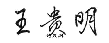 骆恒光王贵明行书个性签名怎么写