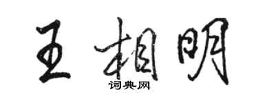 骆恒光王相明行书个性签名怎么写
