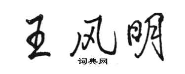 骆恒光王风明行书个性签名怎么写