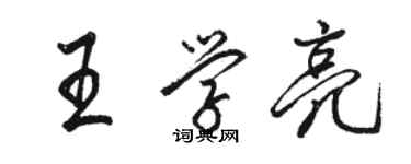 骆恒光王学亮行书个性签名怎么写