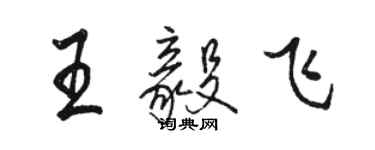 骆恒光王毅飞行书个性签名怎么写