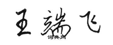 骆恒光王端飞行书个性签名怎么写