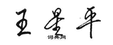 骆恒光王星平行书个性签名怎么写