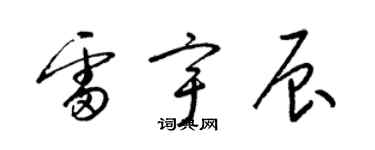 梁锦英雷宇辰草书个性签名怎么写