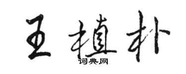 骆恒光王植朴行书个性签名怎么写