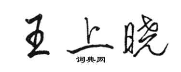 骆恒光王上晓行书个性签名怎么写