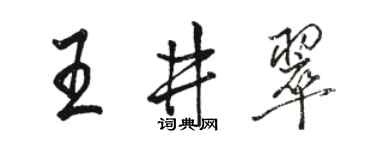 骆恒光王井翠行书个性签名怎么写