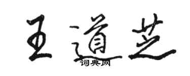 骆恒光王道芝行书个性签名怎么写