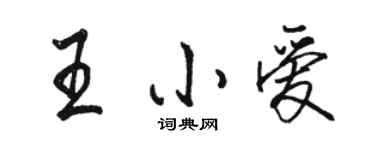 骆恒光王小爱行书个性签名怎么写