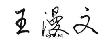 骆恒光王漫文行书个性签名怎么写