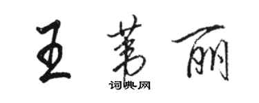 骆恒光王苇丽行书个性签名怎么写