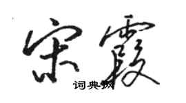 骆恒光宋霞行书个性签名怎么写
