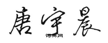 骆恒光唐宇晨行书个性签名怎么写