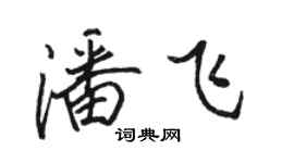 骆恒光潘飞行书个性签名怎么写