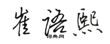 骆恒光崔语熙行书个性签名怎么写