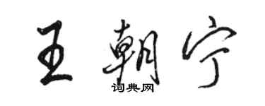 骆恒光王朝宁行书个性签名怎么写