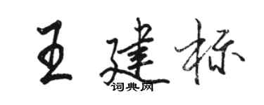 骆恒光王建标行书个性签名怎么写