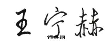 骆恒光王宁赫行书个性签名怎么写
