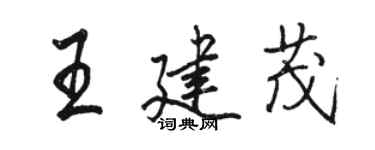 骆恒光王建茂行书个性签名怎么写