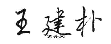 骆恒光王建朴行书个性签名怎么写