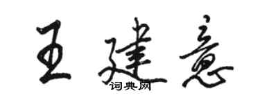 骆恒光王建意行书个性签名怎么写