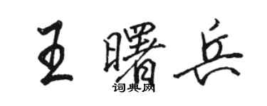 骆恒光王曙兵行书个性签名怎么写