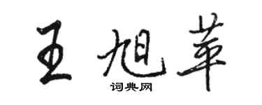 骆恒光王旭苹行书个性签名怎么写