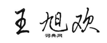 骆恒光王旭欢行书个性签名怎么写