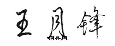 骆恒光王月锋行书个性签名怎么写