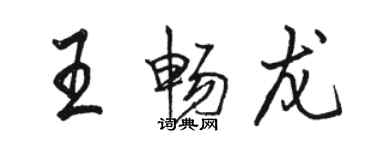 骆恒光王畅龙行书个性签名怎么写