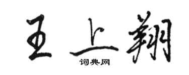 骆恒光王上翔行书个性签名怎么写