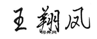 骆恒光王翔凤行书个性签名怎么写