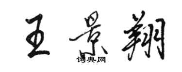 骆恒光王景翔行书个性签名怎么写
