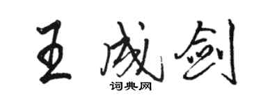 骆恒光王成剑行书个性签名怎么写