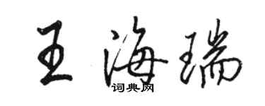 骆恒光王海瑞行书个性签名怎么写