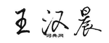 骆恒光王汉晨行书个性签名怎么写