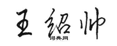 骆恒光王绍帅行书个性签名怎么写