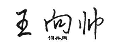 骆恒光王向帅行书个性签名怎么写
