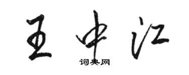 骆恒光王中江行书个性签名怎么写