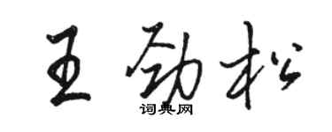 骆恒光王劲松行书个性签名怎么写