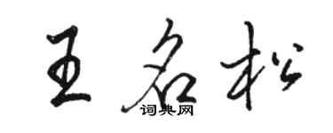 骆恒光王名松行书个性签名怎么写