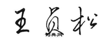 骆恒光王贞松行书个性签名怎么写