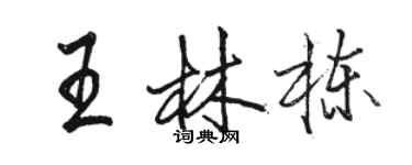 骆恒光王林栋行书个性签名怎么写