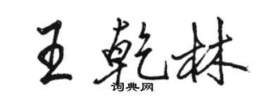 骆恒光王乾林行书个性签名怎么写