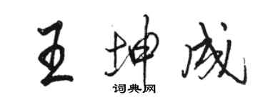 骆恒光王坤成行书个性签名怎么写