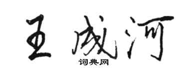 骆恒光王成河行书个性签名怎么写