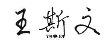 骆恒光王斯文行书个性签名怎么写