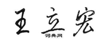 骆恒光王立宏行书个性签名怎么写
