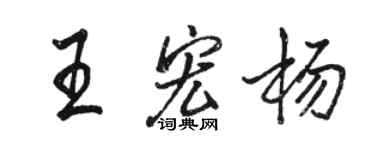 骆恒光王宏杨行书个性签名怎么写