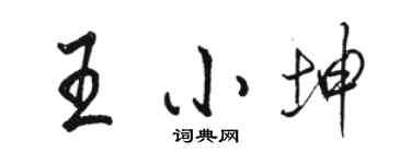 骆恒光王小坤行书个性签名怎么写
